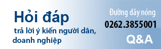 Hỏi đáp